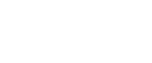 Nieuw Strategic Solutions